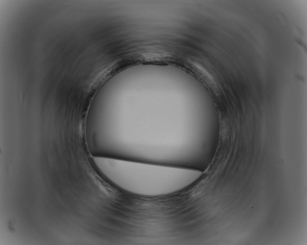 X0000097750405200803070847