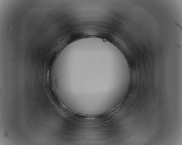 X0000097750406200803070847