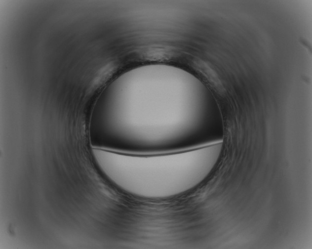 X0000097750407200803070847