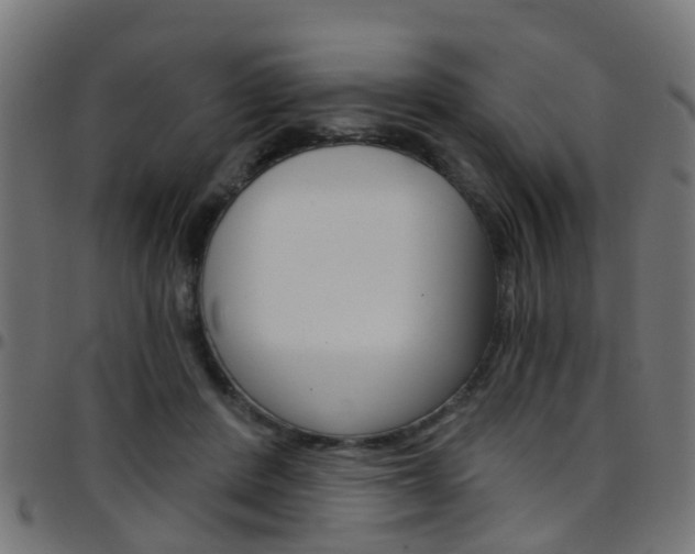 X0000097750408200803070847