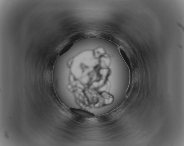 X0000097750409200803070847