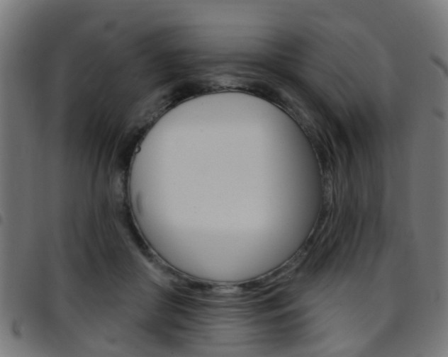 X0000097750410200803070847
