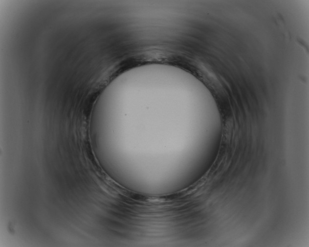 X0000097750413200803070847
