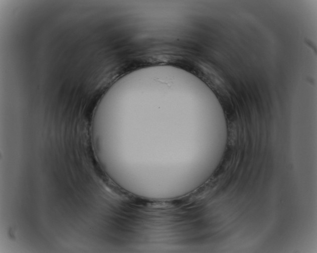 X0000097750414200803070847