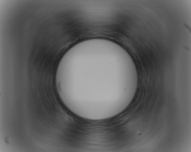 X0000097750415200803070847