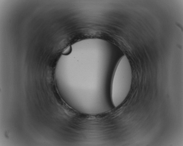 X0000097750416200803070847