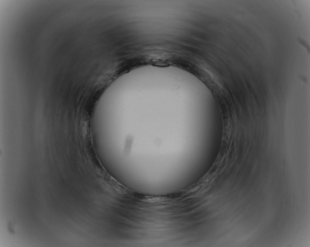 X0000097750417200803070847
