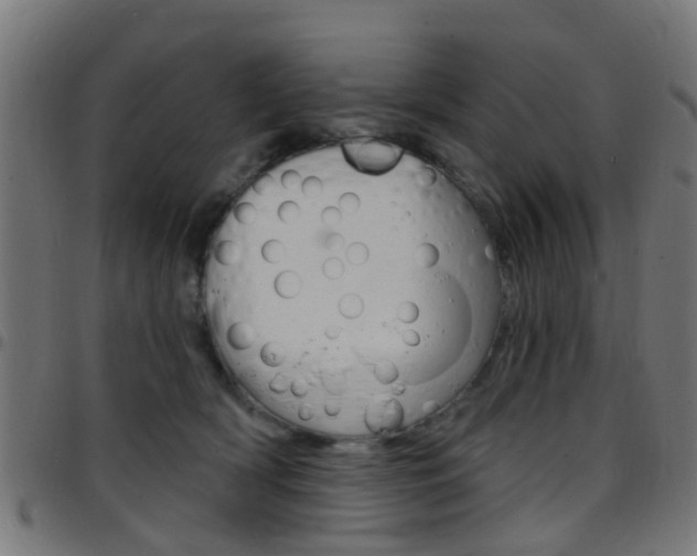 X0000097750418200803070847