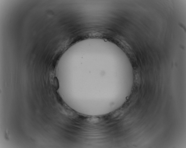 X0000097750419200803070847