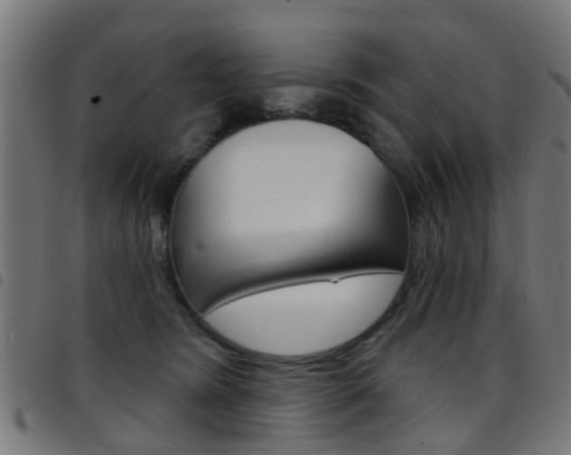 X0000097750420200803070847