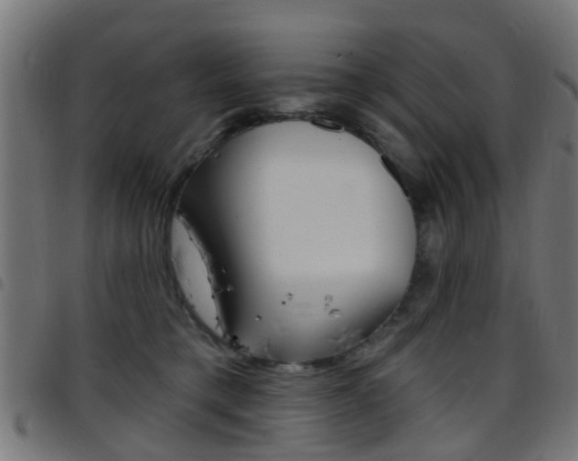 X0000097750421200803070847