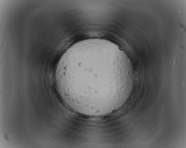 X0000097750422200803070847