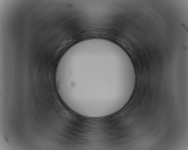 X0000097750423200803070847