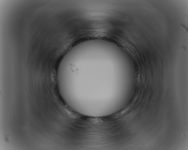 X0000097750424200803070847