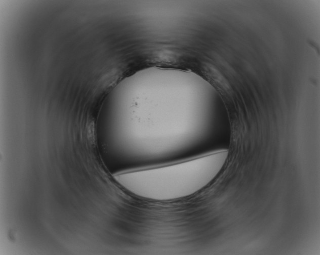 X0000097750425200803070847