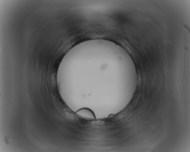 X0000097750426200803070847