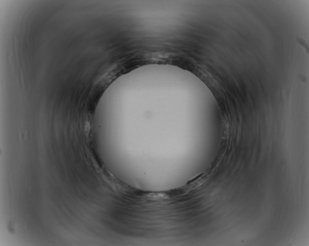 X0000097750427200803070847