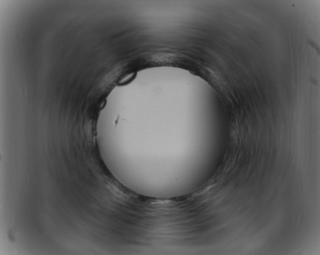 X0000097750428200803070847