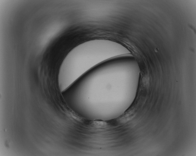 X0000097750429200803070847
