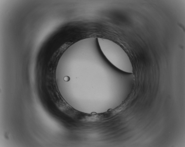 X0000097750430200803070847