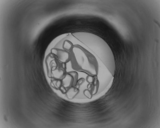 X0000097750431200803070847