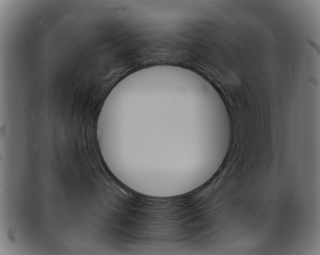 X0000097750432200803070847