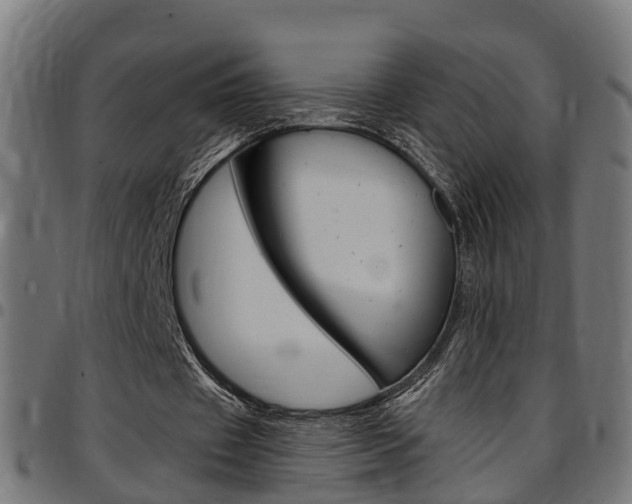 X0000097750433200803070846