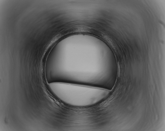 X0000097750435200803070846