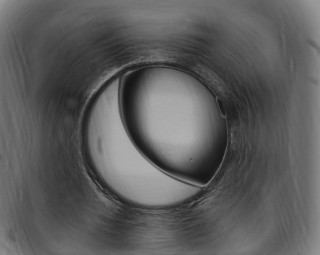 X0000097750436200803070846