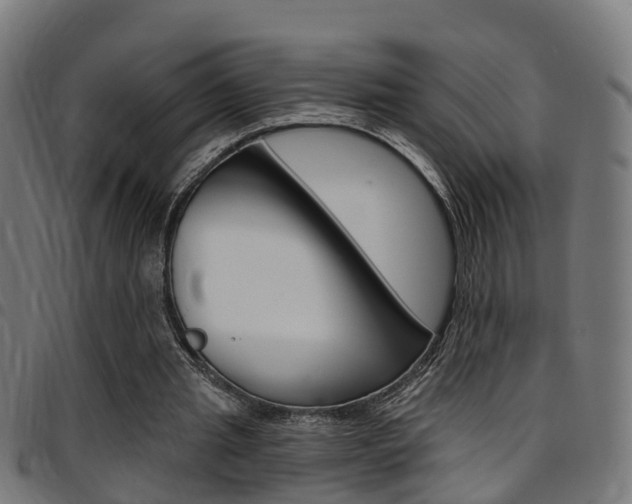 X0000097750437200803070846