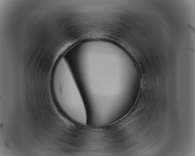 X0000097750438200803070846