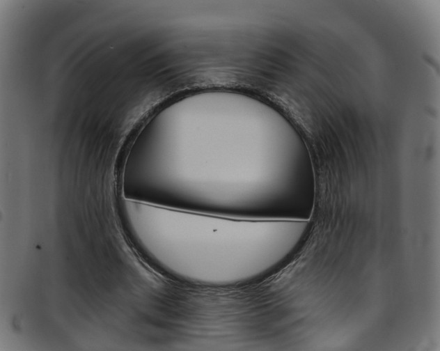 X0000097750439200803070846