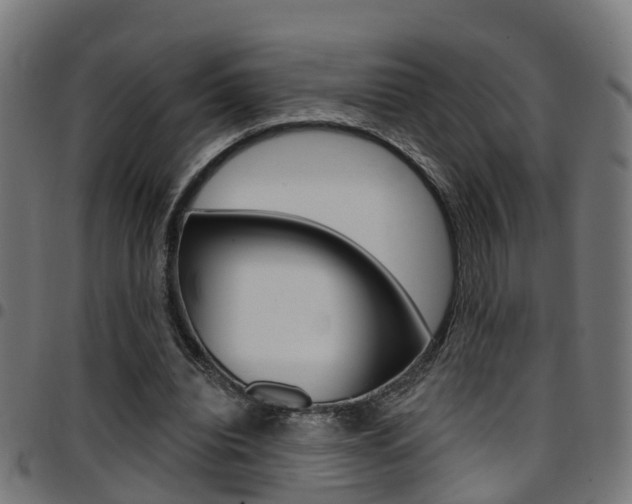 X0000097750440200803070846