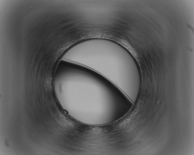 X0000097750441200803070846