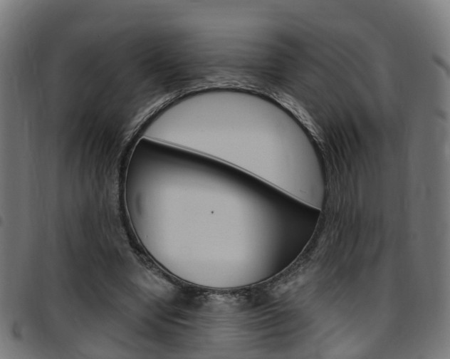 X0000097750442200803070846