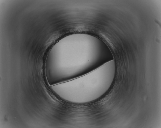 X0000097750443200803070846