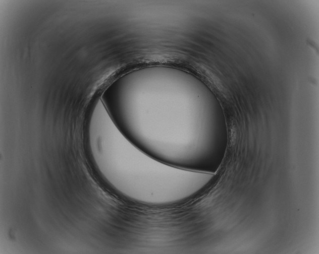 X0000097750444200803070846