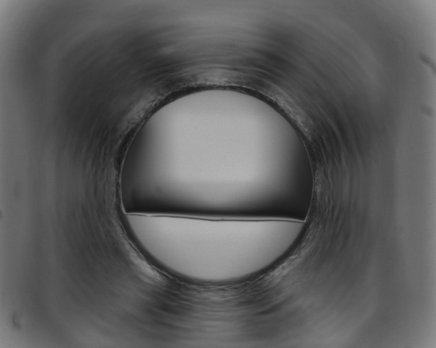 X0000097750445200803070846