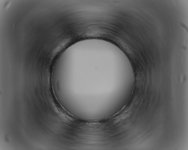 X0000097750446200803070846