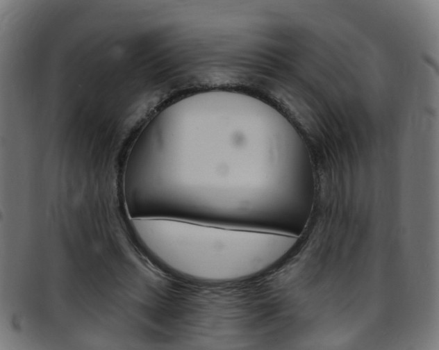 X0000097750447200803070846