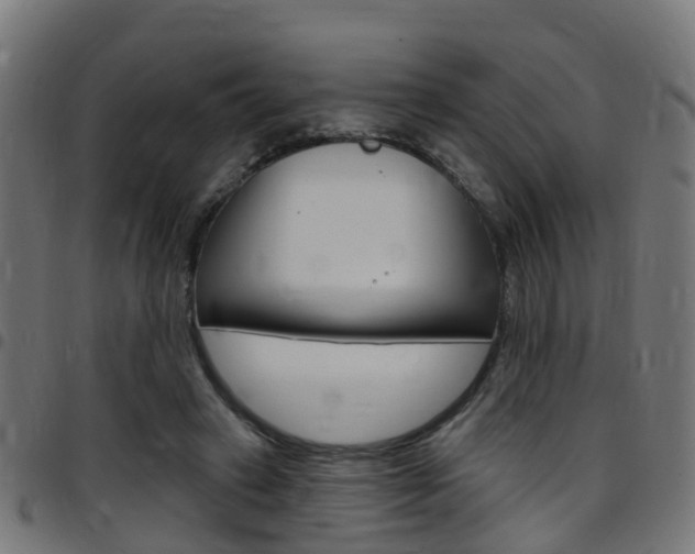 X0000097750449200803070846