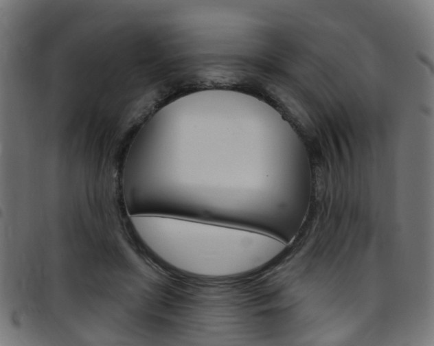 X0000097750451200803070846