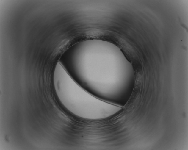 X0000097750452200803070846
