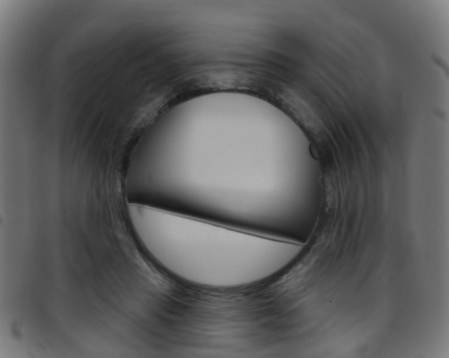 X0000097750453200803070846