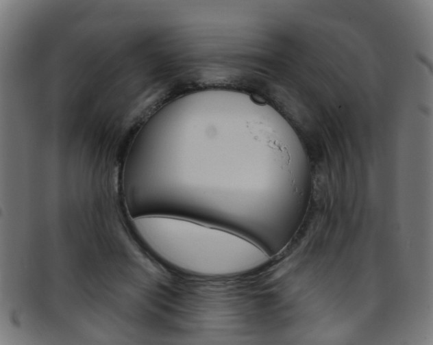 X0000097750454200803070846