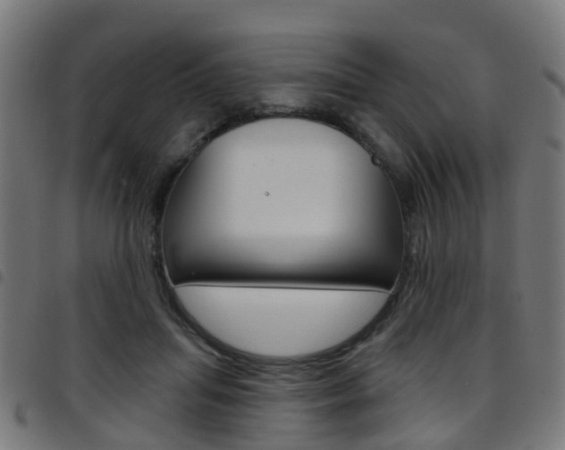 X0000097750455200803070846