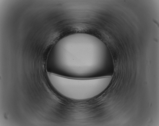 X0000097750456200803070846