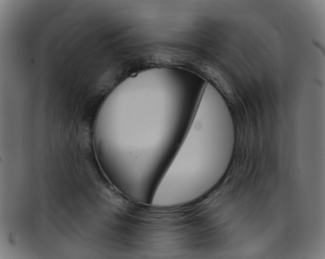 X0000097750457200803070846