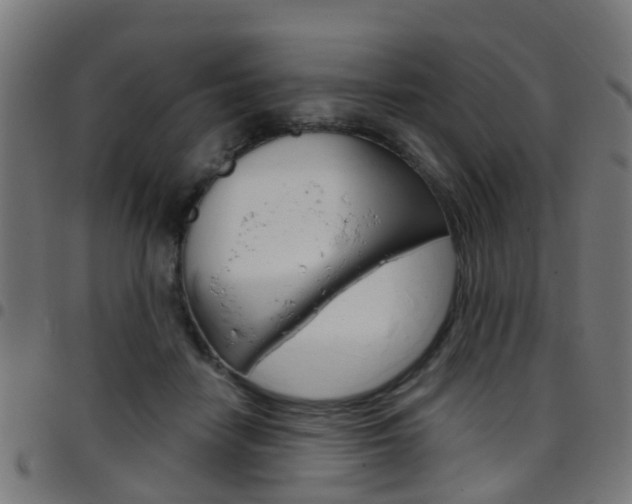 X0000097750458200803070846
