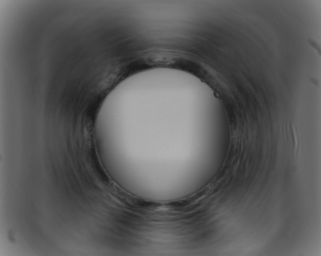X0000097750460200803070846